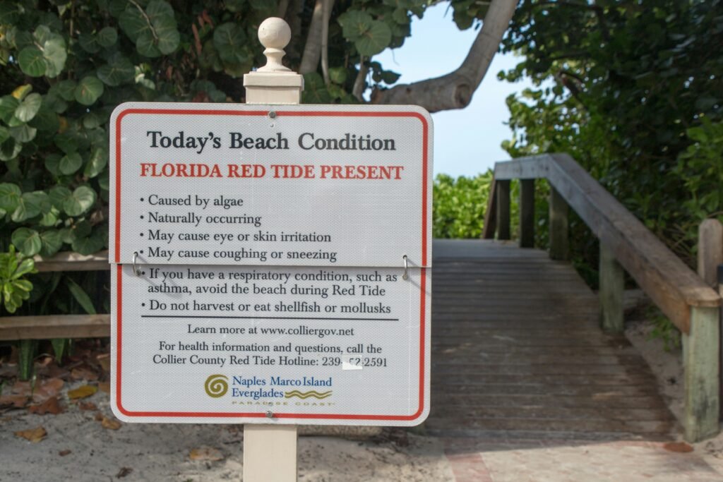 Florida Red Tide