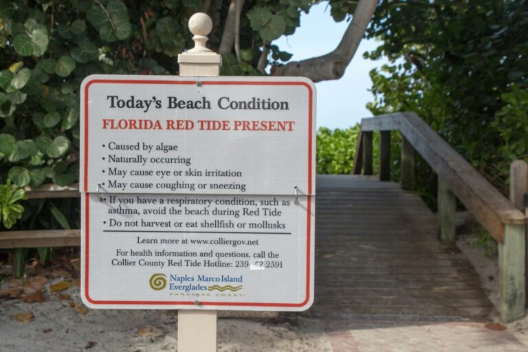 Florida Red Tide